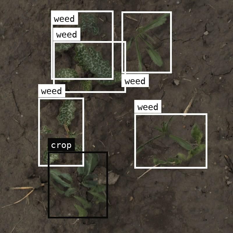 Precision weeding & spraying · green-on-green — synthetic training data example